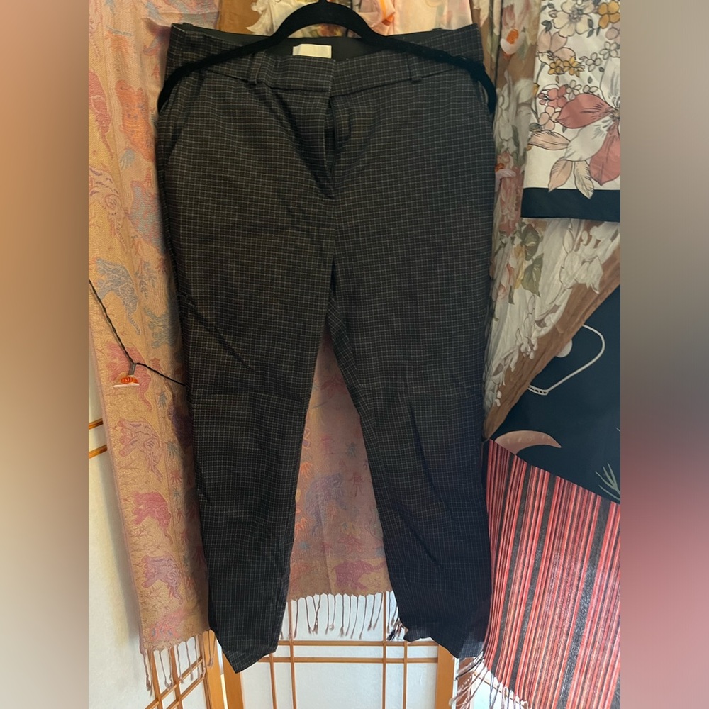 Dress pants
